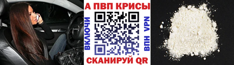 A PVP СК  Козельск 