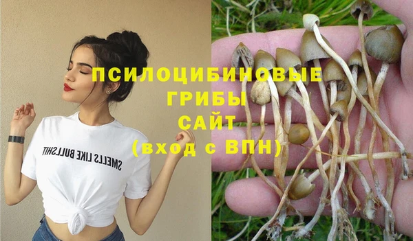 mix Новодвинск
