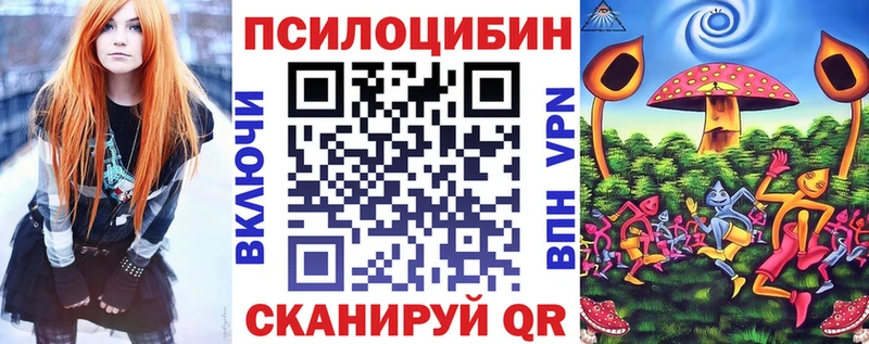 Псилоцибиновые грибы MAGIC MUSHROOMS  продажа наркотиков  Козельск 